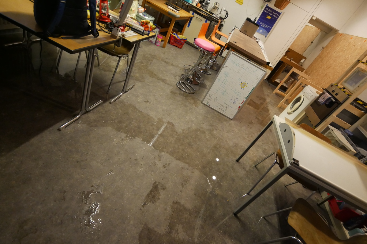 p1100936-h800.jpg