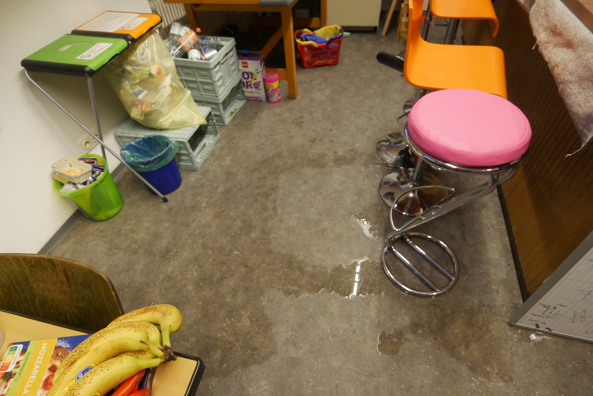 p1100937-h800.jpg