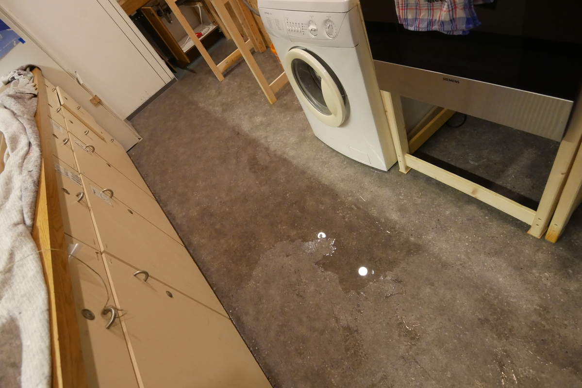 p1100938-h800.jpg