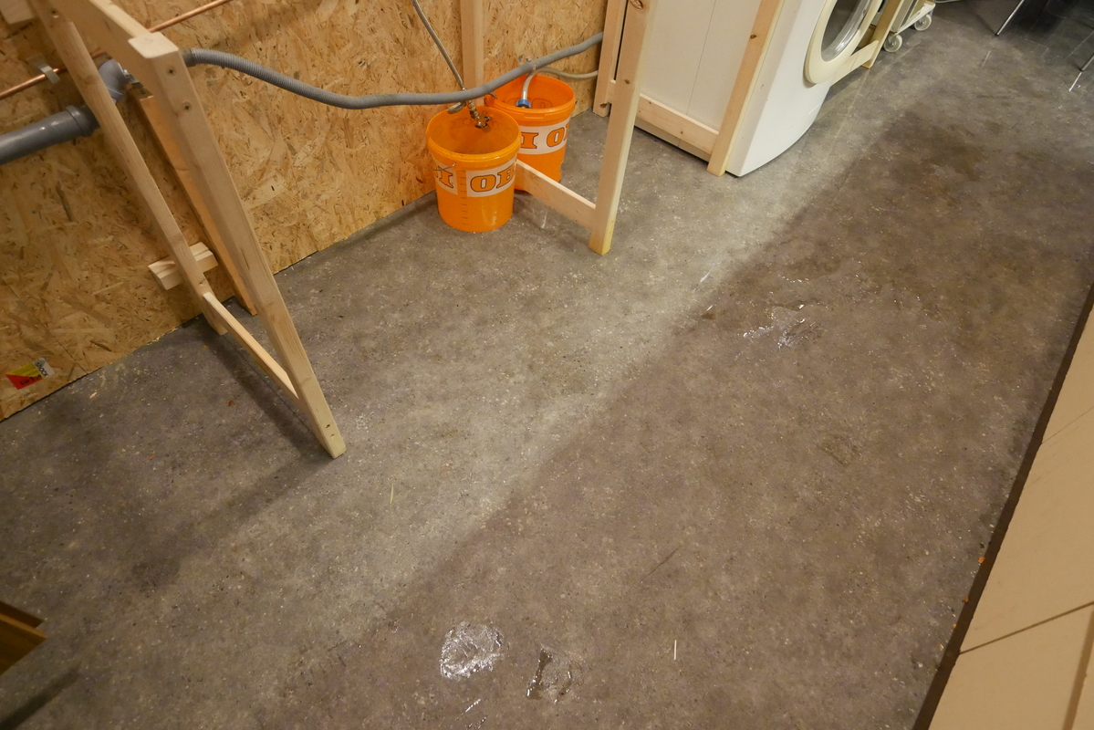 p1100939-h800.jpg